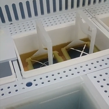 Photoresist Stripping