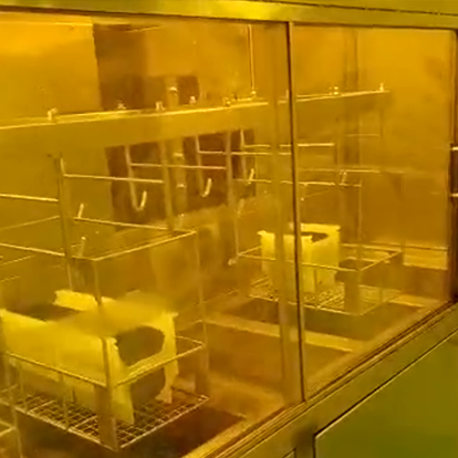  Photoresist Development and Fixation